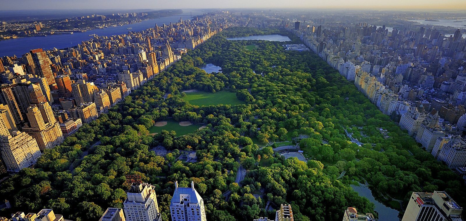 Top view of New York City